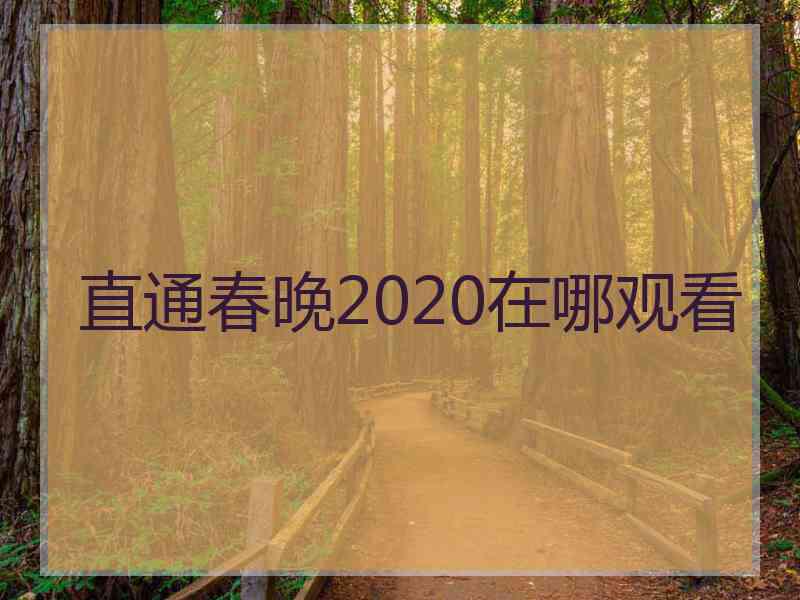 直通春晚2020在哪观看