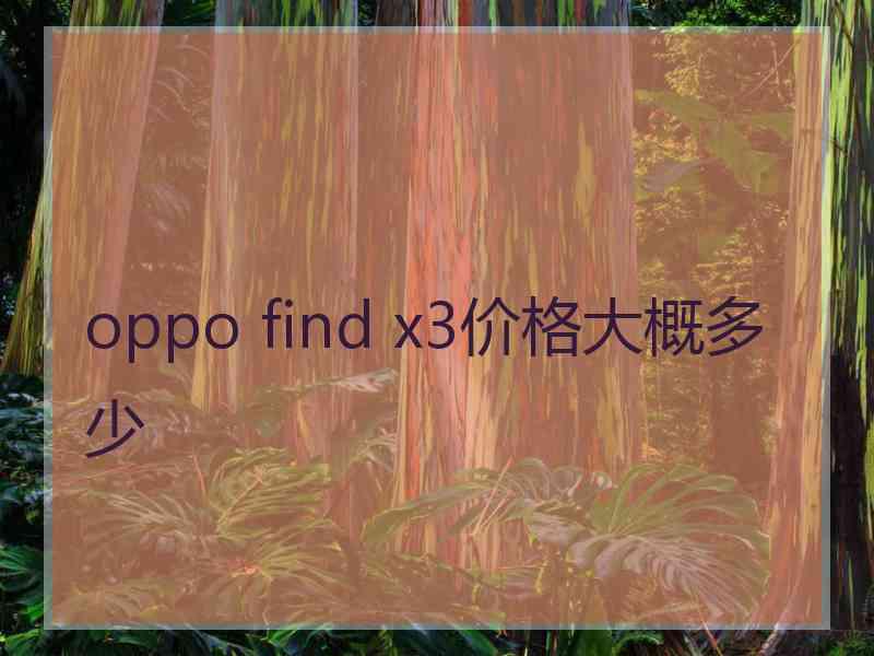 oppo find x3价格大概多少