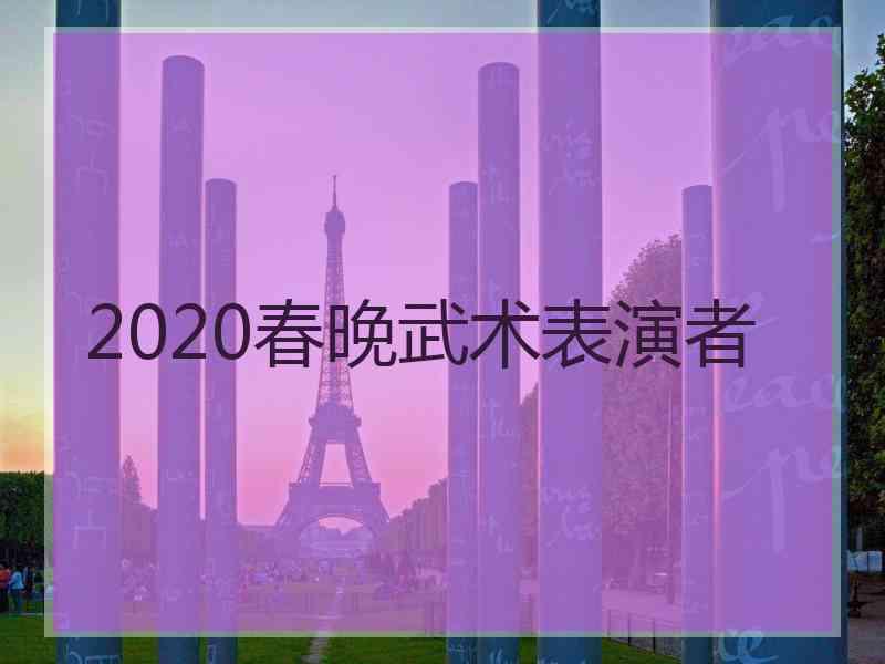 2020春晚武术表演者