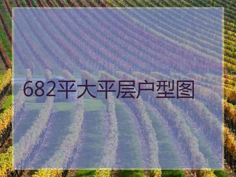 682平大平层户型图