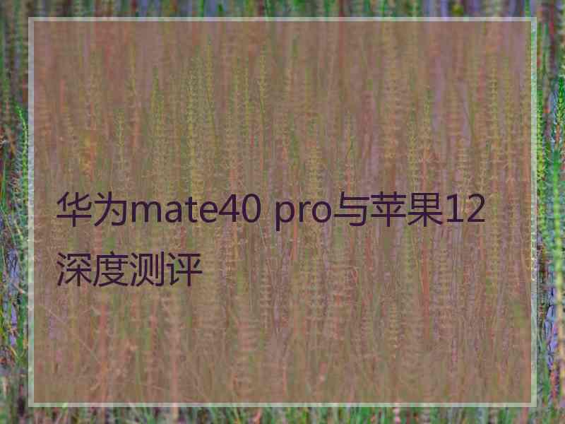 华为mate40 pro与苹果12深度测评