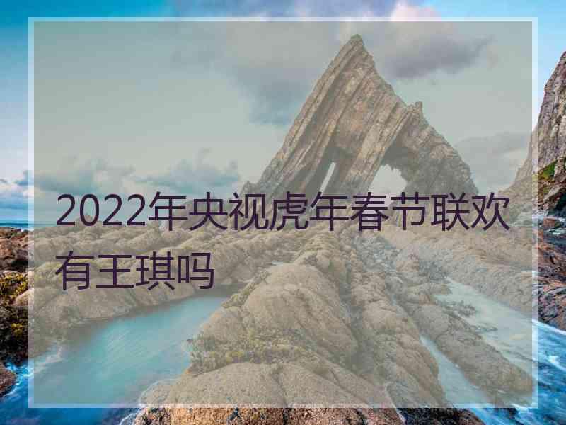 2022年央视虎年春节联欢有王琪吗