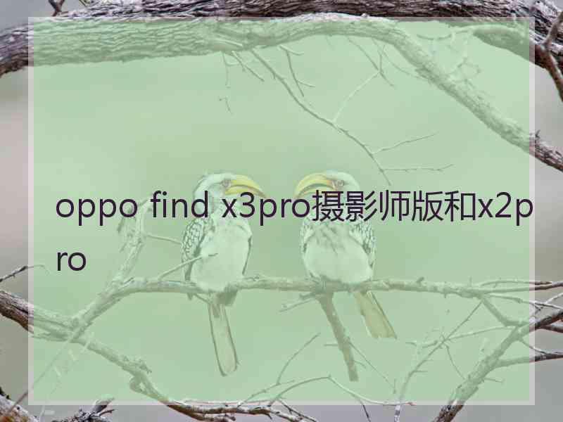 oppo find x3pro摄影师版和x2pro