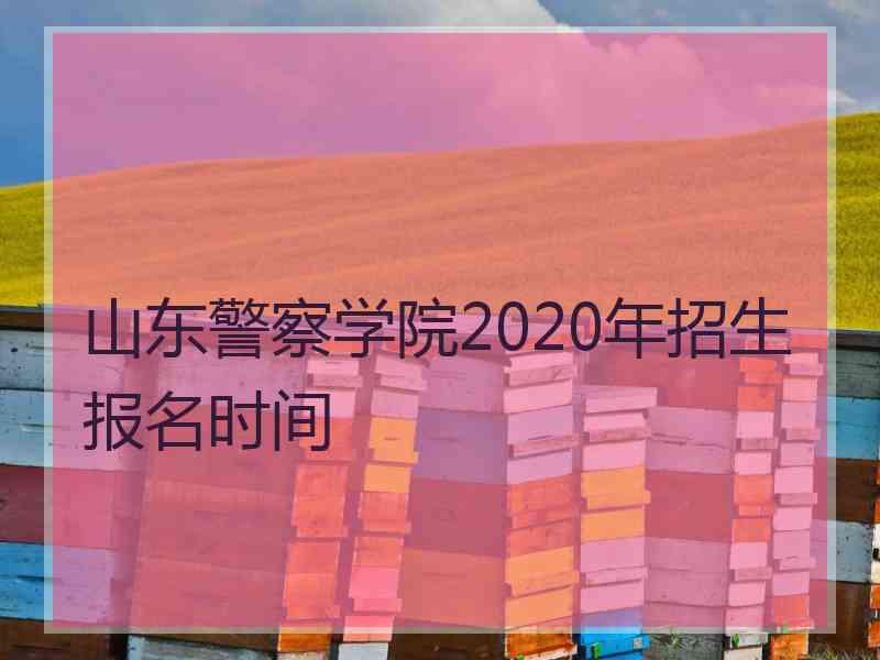 山东警察学院2020年招生报名时间