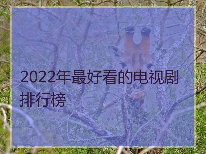 2022年最好看的电视剧排行榜