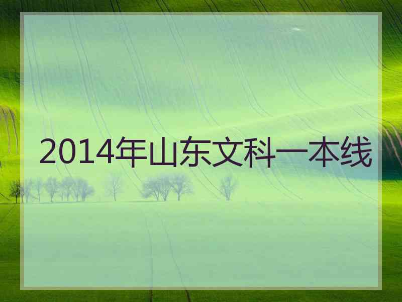 2014年山东文科一本线