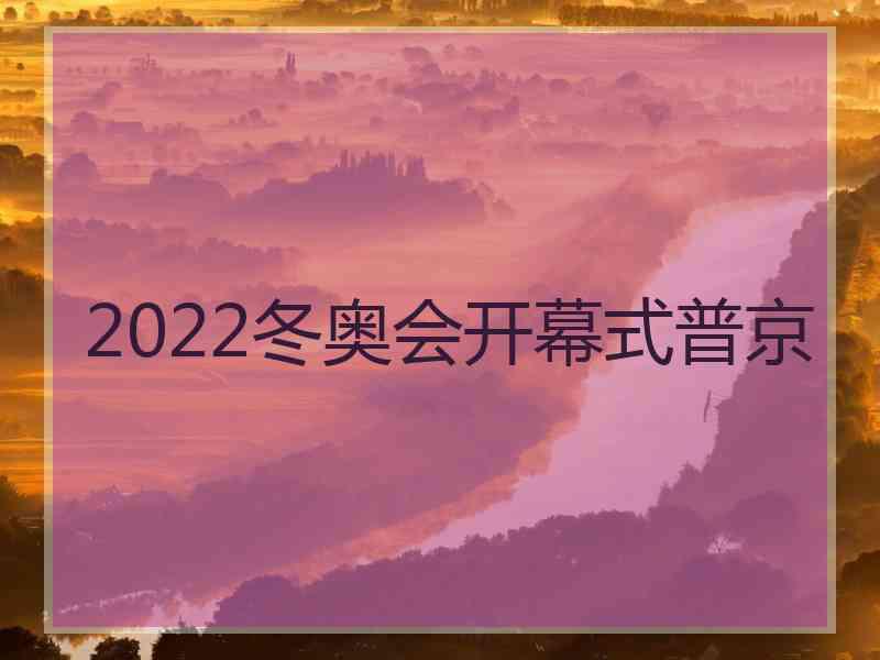 2022冬奥会开幕式普京