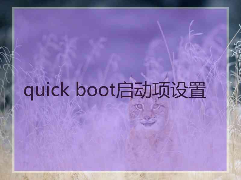 quick boot启动项设置