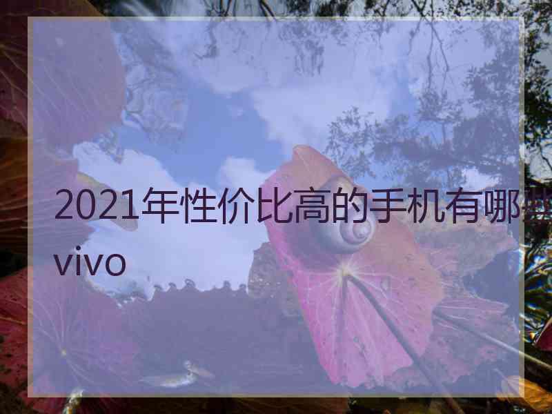 2021年性价比高的手机有哪些vivo