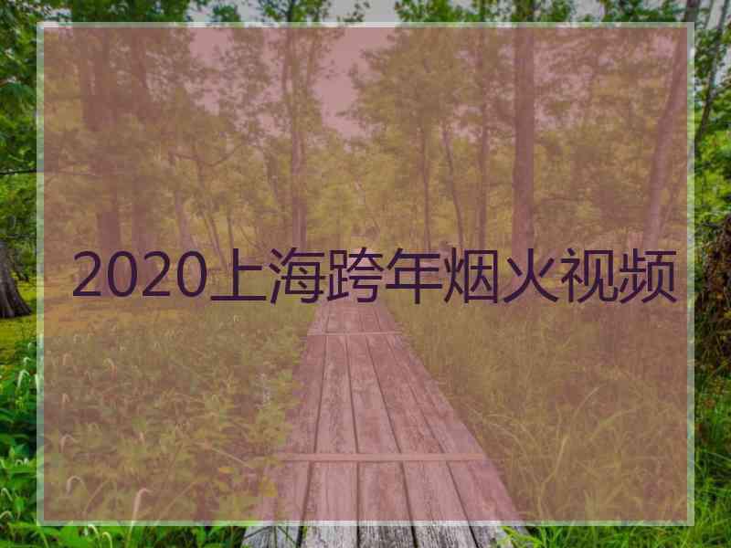 2020上海跨年烟火视频