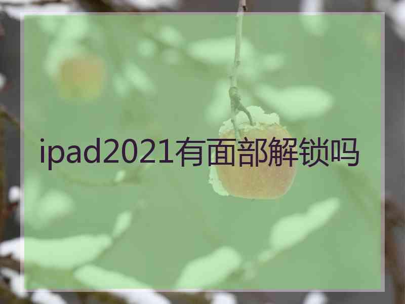 ipad2021有面部解锁吗