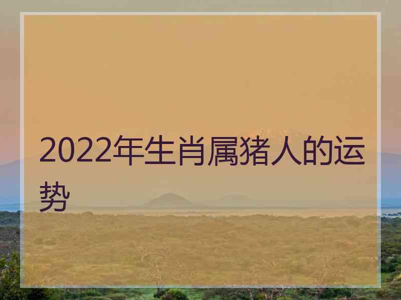 2022年生肖属猪人的运势