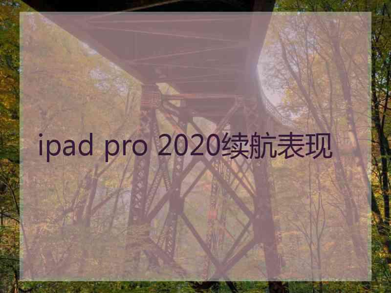 ipad pro 2020续航表现