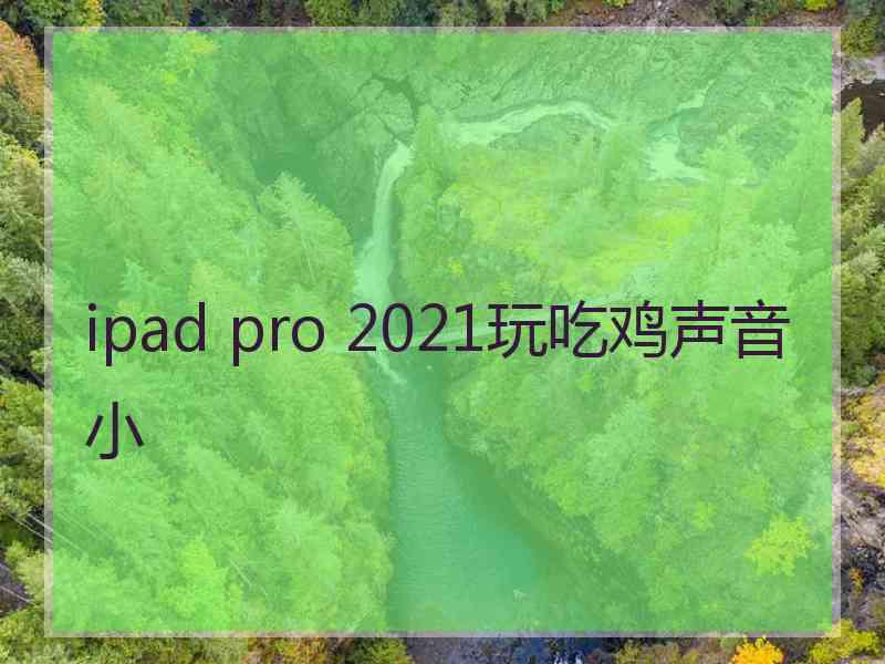 ipad pro 2021玩吃鸡声音小