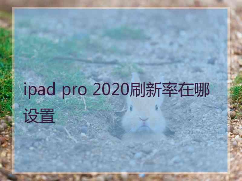 ipad pro 2020刷新率在哪设置