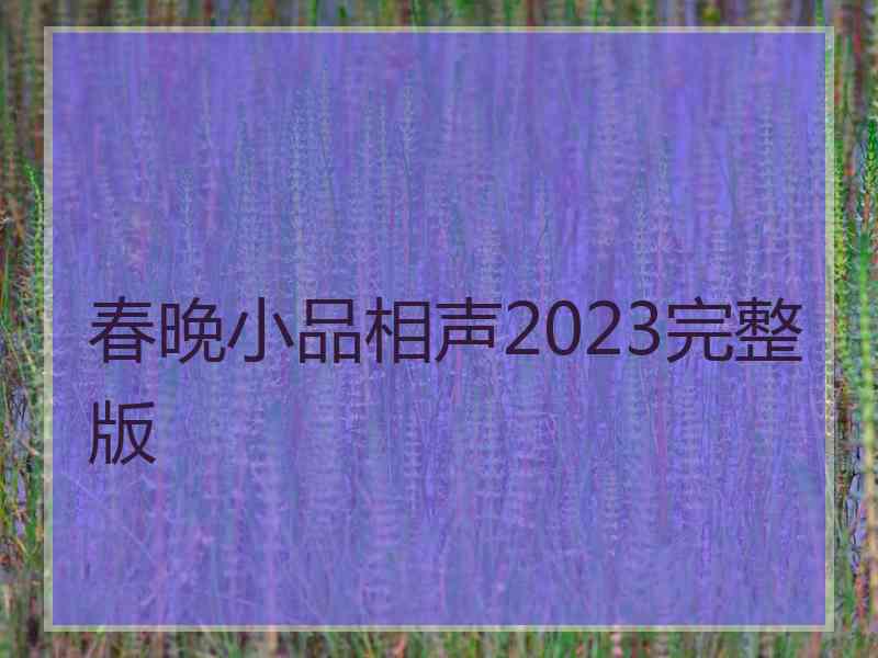 春晚小品相声2023完整版