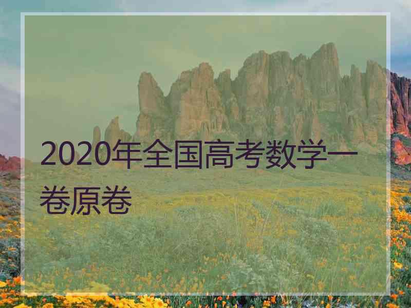 2020年全国高考数学一卷原卷