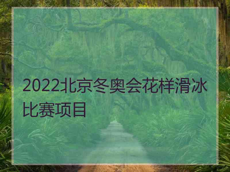 2022北京冬奥会花样滑冰比赛项目