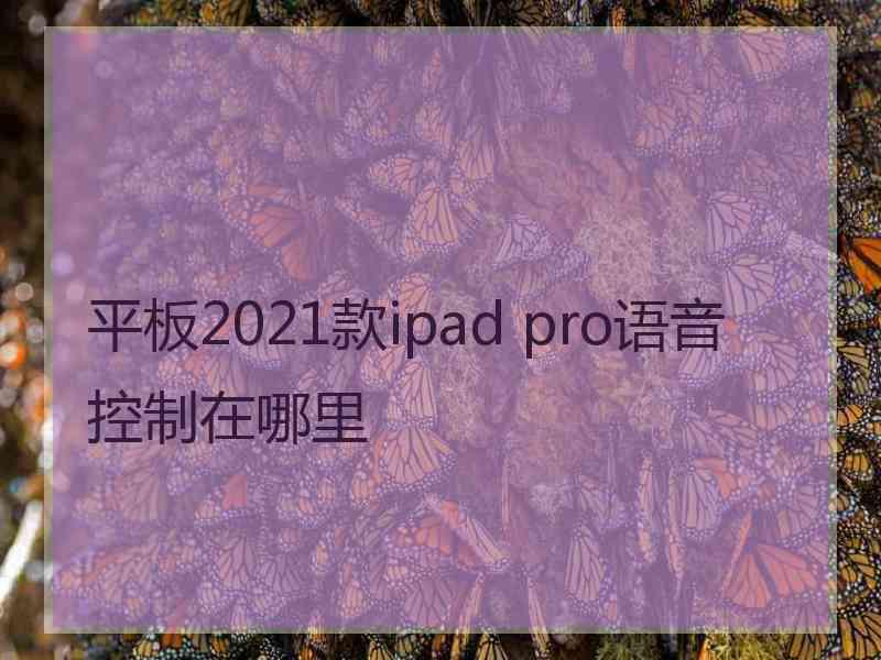 平板2021款ipad pro语音控制在哪里