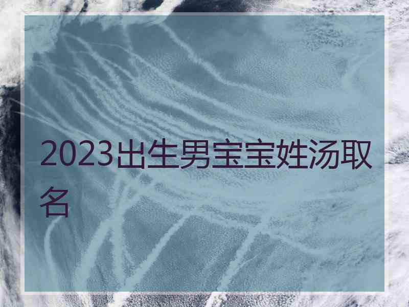 2023出生男宝宝姓汤取名