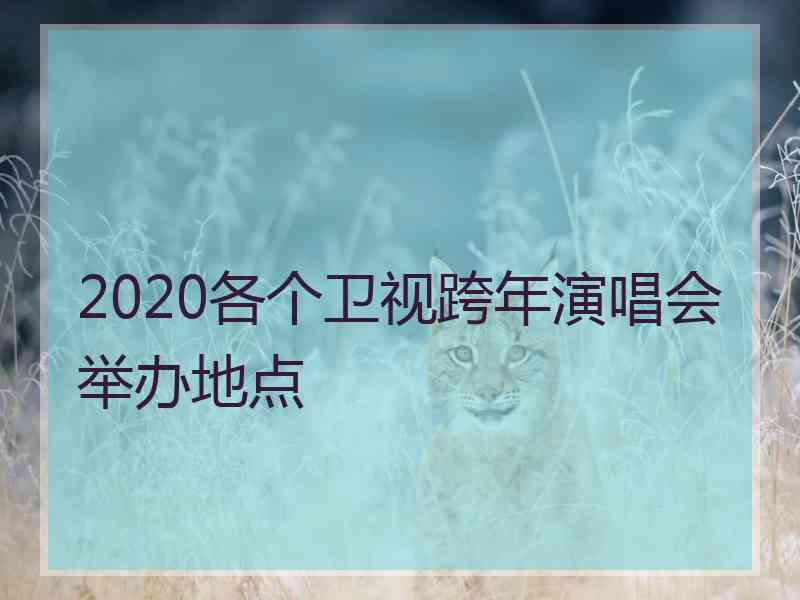 2020各个卫视跨年演唱会举办地点