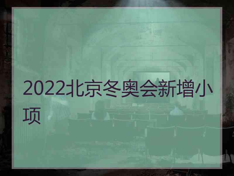 2022北京冬奥会新增小项