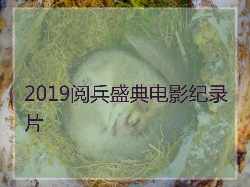 2019阅兵盛典电影纪录片