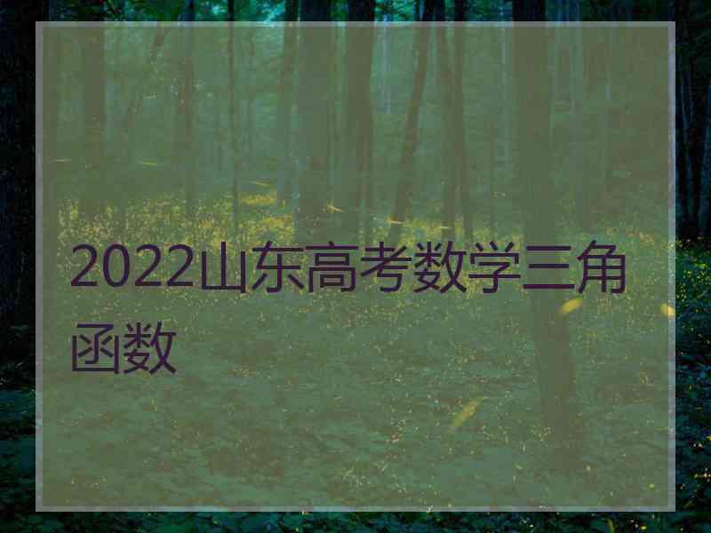 2022山东高考数学三角函数