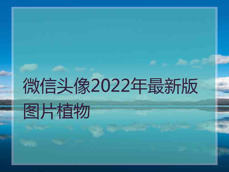 微信头像2022年最新版图片植物