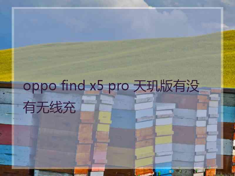 oppo find x5 pro 天玑版有没有无线充