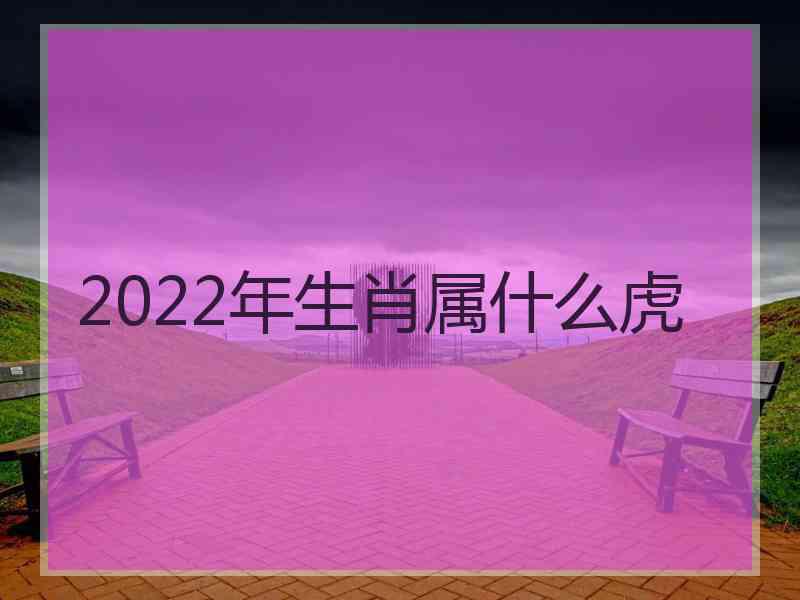 2022年生肖属什么虎