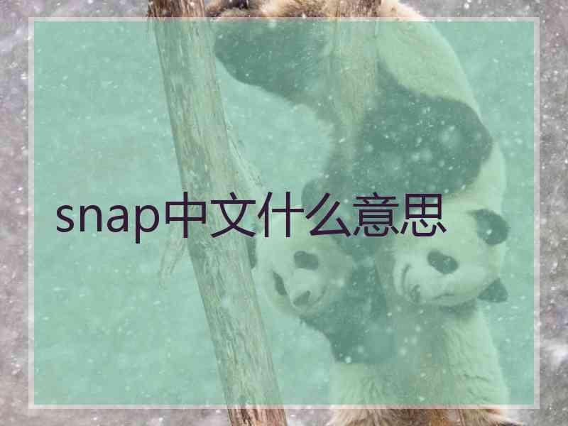 snap中文什么意思