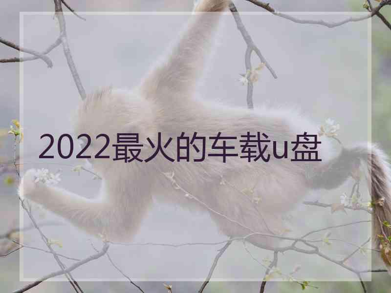 2022最火的车载u盘