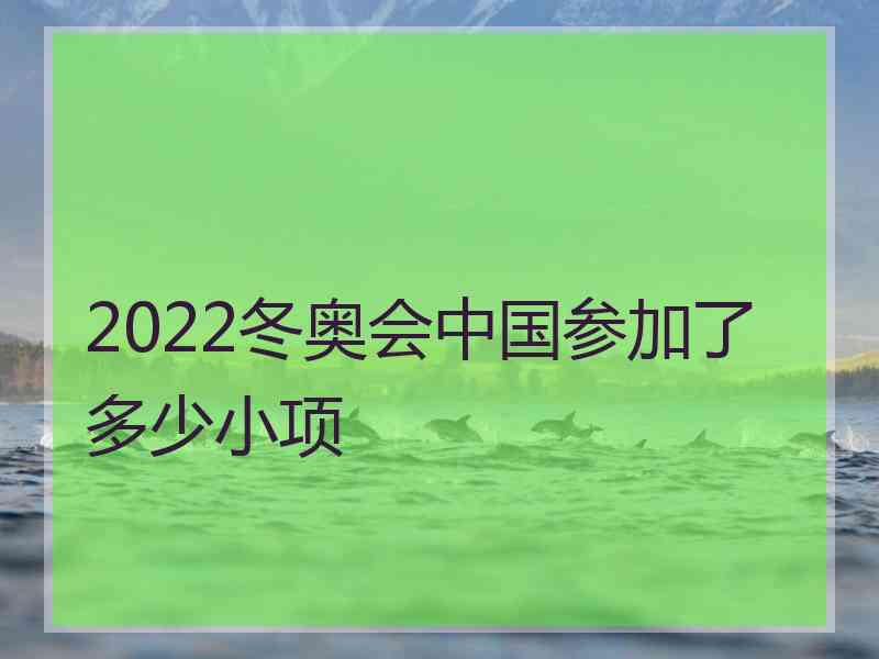 2022冬奥会中国参加了多少小项