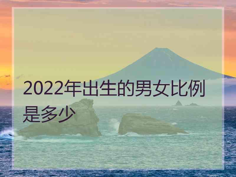 2022年出生的男女比例是多少