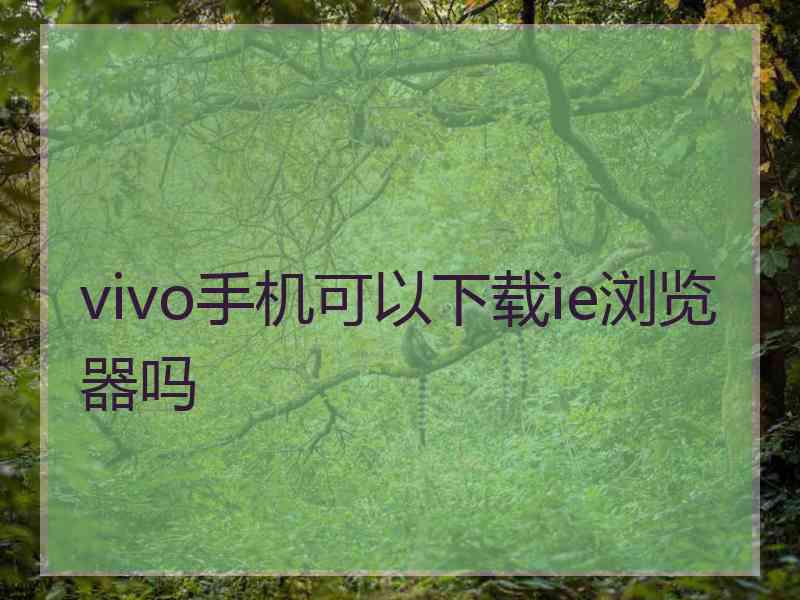 vivo手机可以下载ie浏览器吗