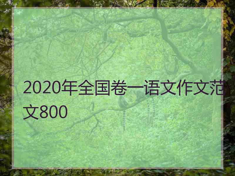 2020年全国卷一语文作文范文800