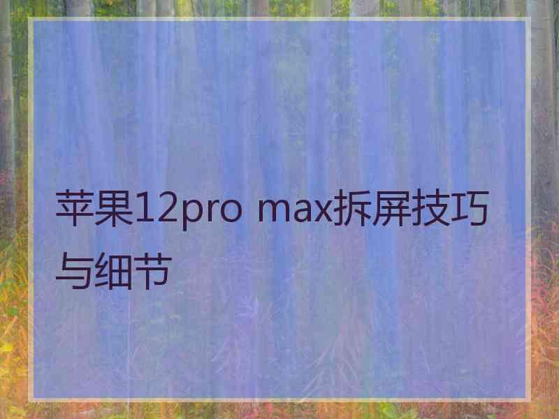 苹果12pro max拆屏技巧与细节