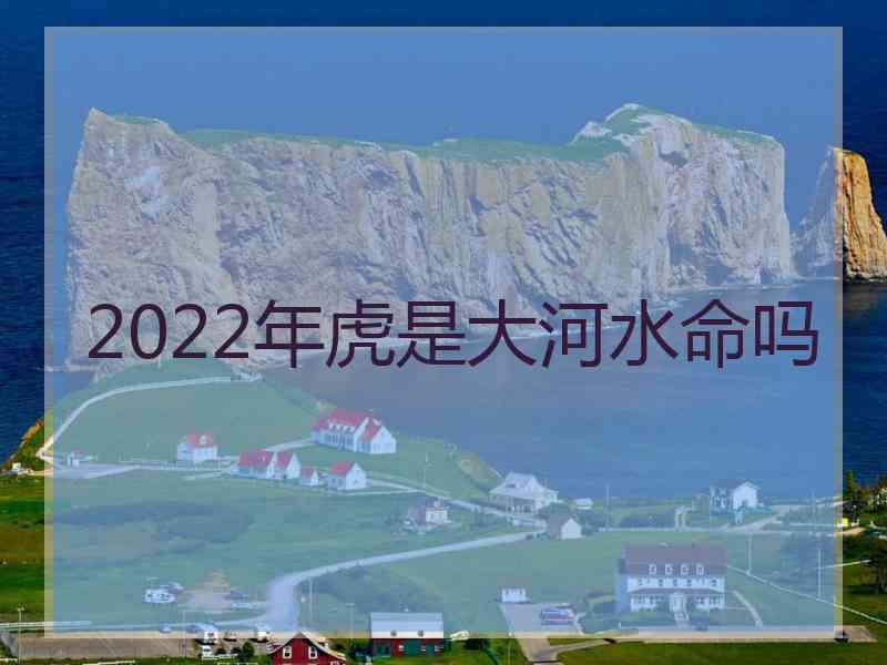 2022年虎是大河水命吗