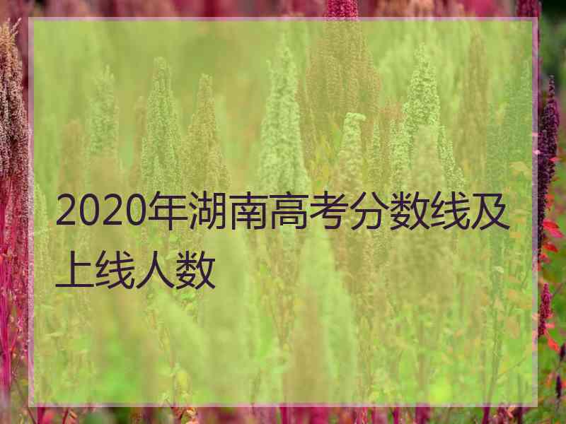 2020年湖南高考分数线及上线人数