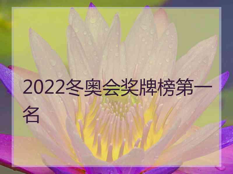 2022冬奥会奖牌榜第一名