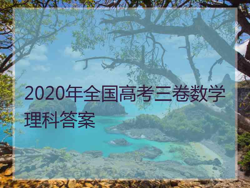 2020年全国高考三卷数学理科答案