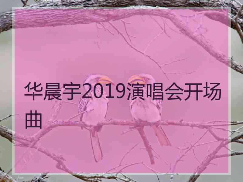 华晨宇2019演唱会开场曲