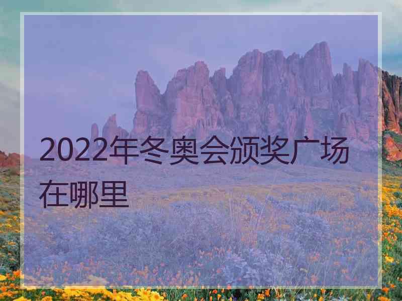 2022年冬奥会颁奖广场在哪里