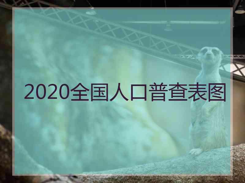 2020全国人口普查表图