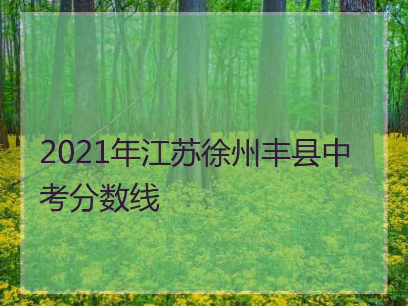 2021年江苏徐州丰县中考分数线