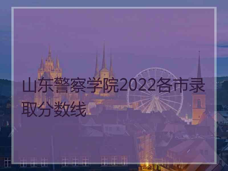 山东警察学院2022各市录取分数线