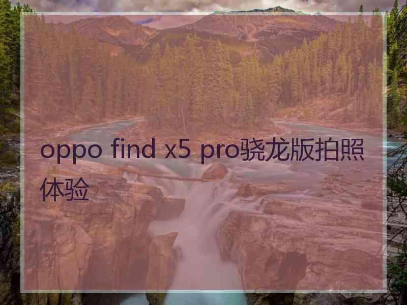 oppo find x5 pro骁龙版拍照体验