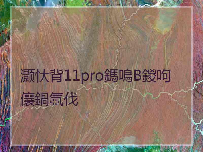 灏忕背11pro鎷嗚В鍐呴儴鍋氬伐