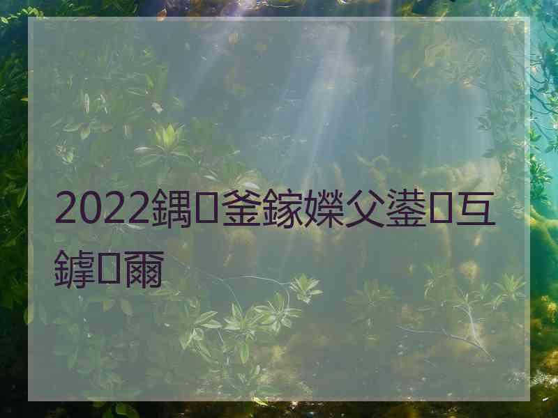 2022鍝釜鎵嬫父鍙互鎼爾